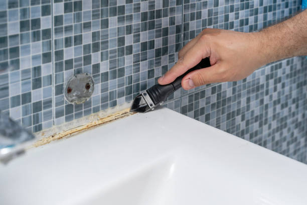 Best Best Mold Removal Companies  in Lapel, IN