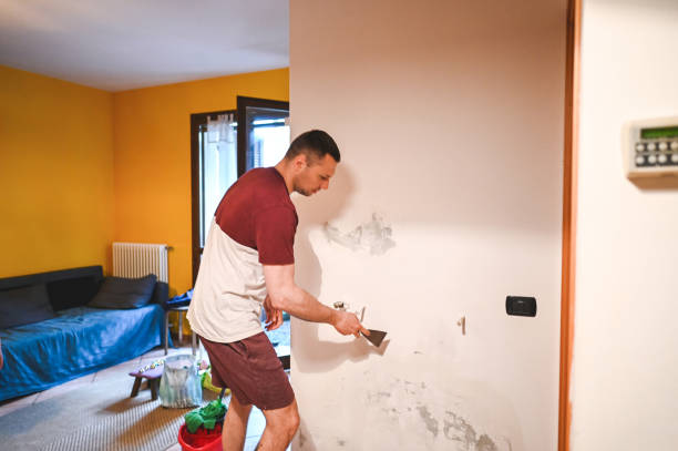Best Toxic Mold Removal  in Lapel, IN